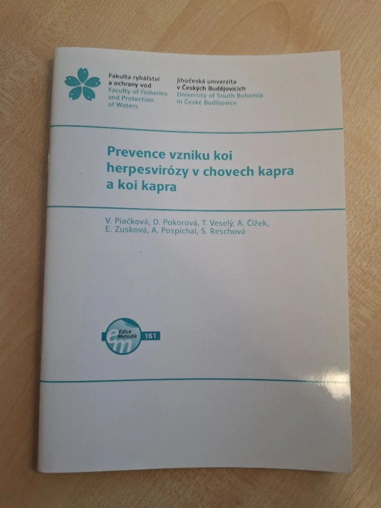161. Prevence vzniku koi herpesvirózy v chovech kapra a koi kapra