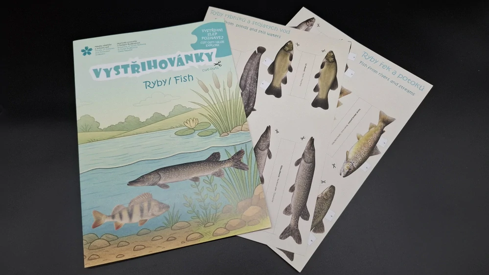 rybářské vystřihovánky