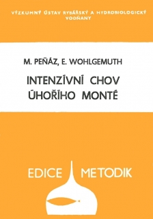 029. Intenzivní chov úhořího monté - KOPIE