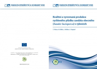 110. Kvalitní a vyrovnaná produkce rychleného plůdku candáta obecného (Sander lucioperca) v rybnících - KOPIE
