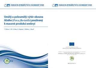 117. Umělý a poloumělý výtěr okouna říčního (Perca fluviatilis) používaný k masové produkci embryí