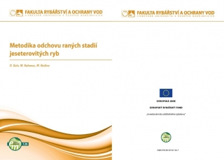 126. Metodika odchovu raných stadií jeseterovitých ryb