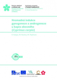 145. Hromadná indukce gynogeneze a androgeneze u kapra obecného - KOPIE