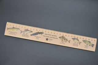 Pravítko 30 cm Ryby České republiky