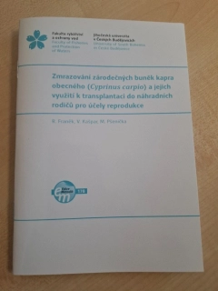 178. Zmrazování zárodečných buněk kapra  obecného (Cyprinus carpio) a jejich  využití k transplantaci do náhradních  rodičů pro účely reprodukce